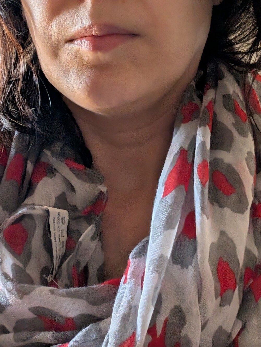 Nicole Marciano Red and Gray Print Infinity Scarf